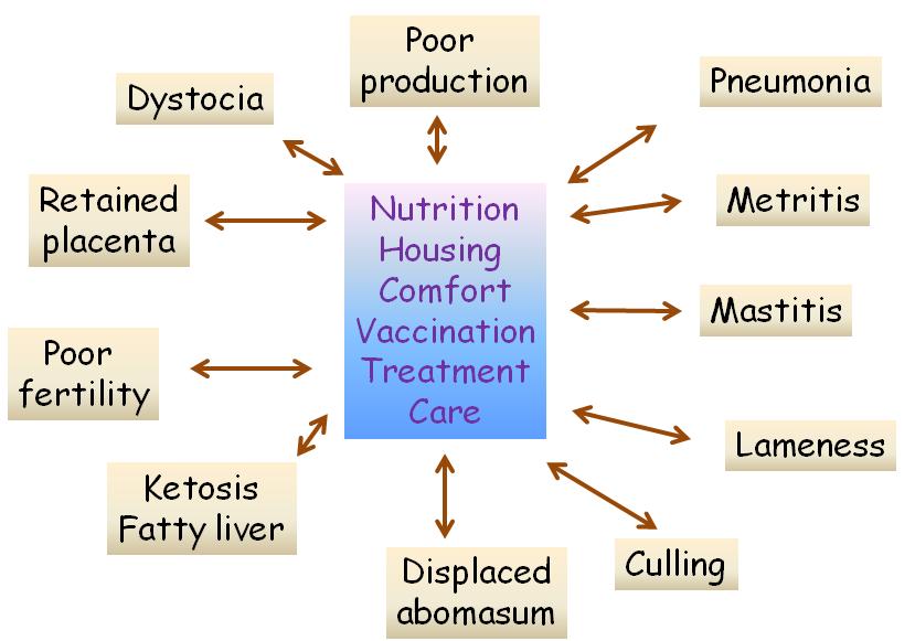 Transition problems Transition problems are part of a complex and interacting system, where many factors affect the risk and severity of disease.