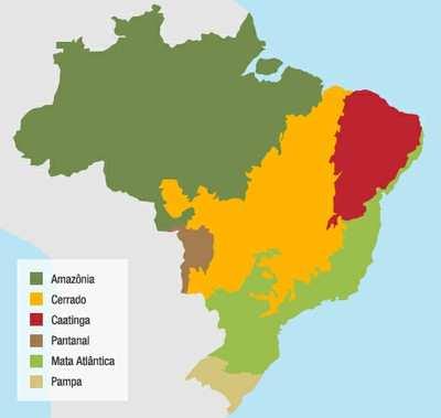 Going back to a broader perspective... Brazilian Biomes - High biodiversity. - High endemism. (e.g. 50% of Atlantic forest amphibians are endemic) - High rate of habitat destruction.