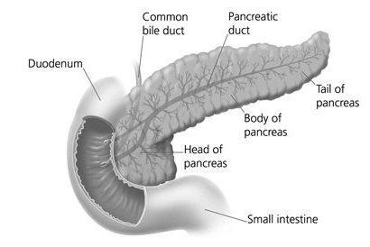 What is Pancreatitis? This is when the pancreas becomes inflamed.