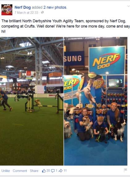 We posted on the Nerf Dog page before and during the event