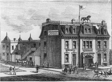 66 Historical Journal of Massachusetts, Winter 1997 Figure 1. The Montreal Veterinary College (MVC) in the last quarter of the nineteenth century.