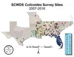 distributions Common Culicoides species in the Southeast U.S. SCWDS HD Surveillance EHDV- Total Culicoides spp. to date: Total spp. from SE (not FL): Total Florida spp.: EHDV- EHDV- BTV- spp. 8 spp.