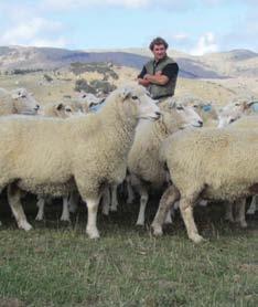 Lambing starts on August 20 and the aim is to have all lambs weaned by the end of November. That is part of our drought mitigation plan. We try to get down to our wintering numbers prior to Christmas.