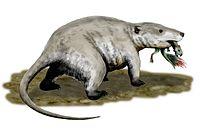 220 Ma // Repenomamus From Eucynodontia (cynodonts) came the first mammals. Most early mammals were small shrew-like animals that fed on insects.