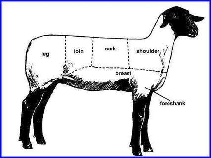 Parts of a Sheep It is important to be able to