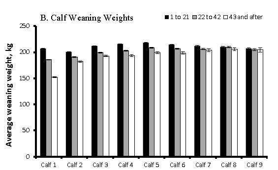 INFLUENCE OF CALVING PERIOD ON WEANING WEIGHTS (Cushman et al.