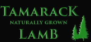 Dine a Little on the Wild Side Tamarack Lamb