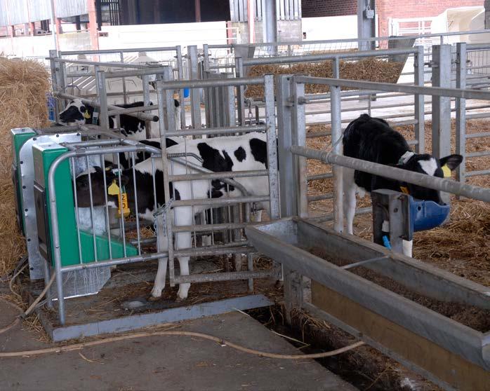 Improving youngstock health Calf health, particularly control of pneumonia and scours, has been identified by the UK s Cattle Health and Welfare Group (CHAWG) as being a high priority within the