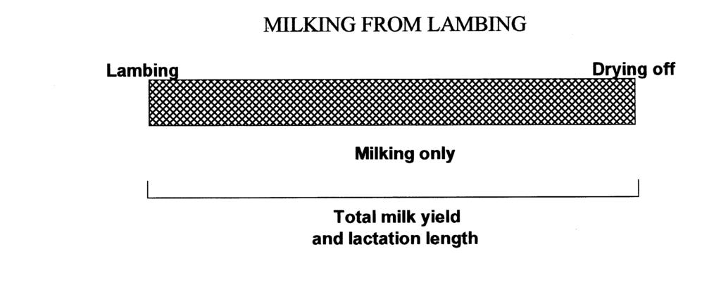 lactation length close to the average lactation