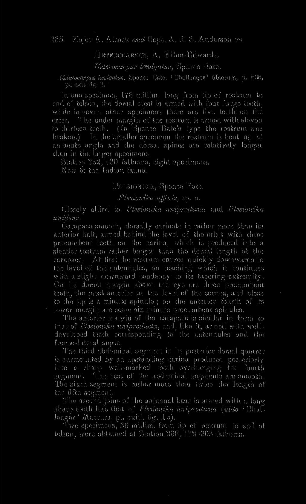 285 Major A. Alcock and Capt. A. It. S. Anderson on HETEIIOCAKPUS, A. Milne-Edwards. Heterocarpus Icevigatus, Spence Bate. Ileterocarpus kenigatus, Spence Bate, ' Challenger' Macrura, p. 636, pi.