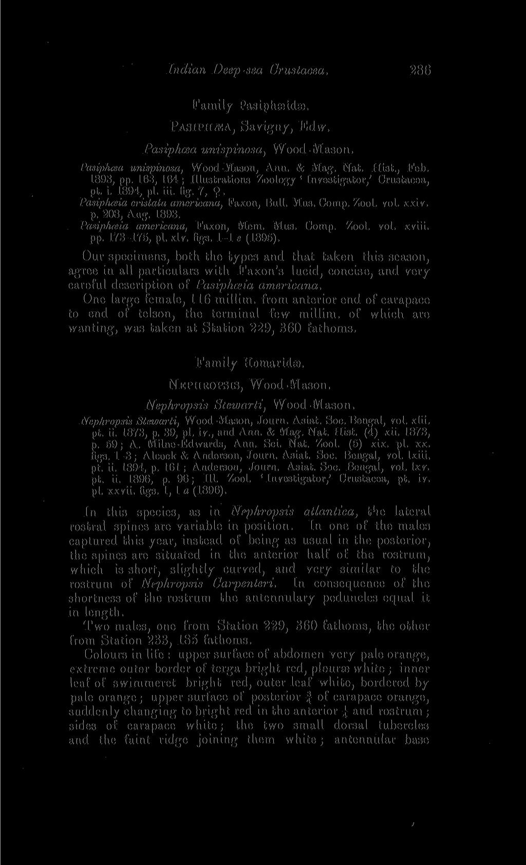 Indian Deep-sea Crustacea. 11 Family Pasiphseidae. PASIPJEL<EA, Savigny, Edw. Pasiphcea unispinosa, Wood-Mason. Pasiphcea unispinosa, Wood-Mason, Ann. & Mag. Nat. Hist., Feb. 1893, pp.