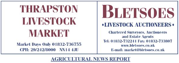 72 VENDORS SOLD 1144 HEAD OF STOCK THROUGH THRAPSTON MARKET THIS WEEK - 30TH MARCH 2015 REPORT ON SATURDAY 28TH MARCH Store Cattle-294(4 Cows & Calves, 2 Cows, 1 Bull, 283 Stores) Sold at 11am A