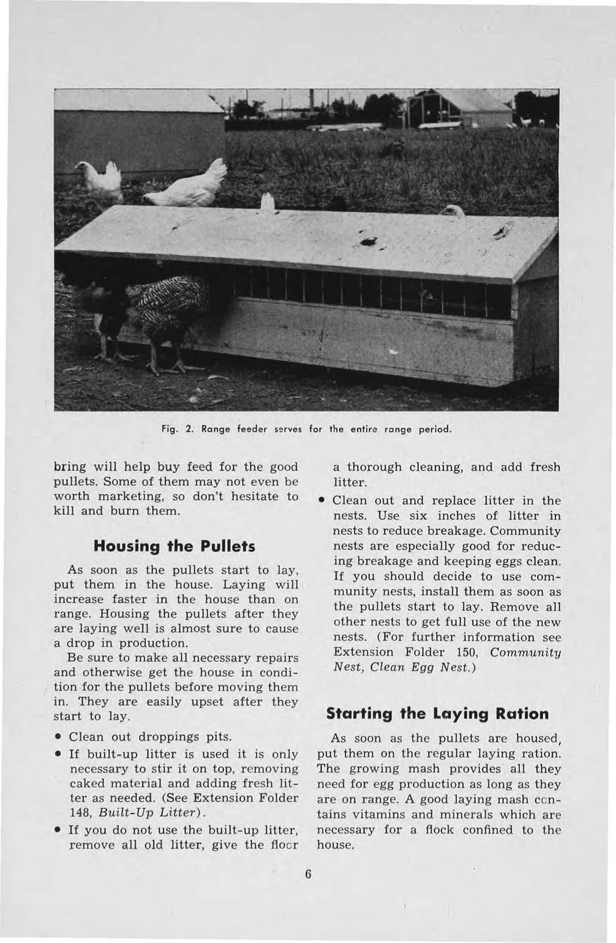 Fig. 2. Range feeder serves for the entire range period. bring will help buy feed for the good pullets. Some of them may not even be worth marketing, so don't hesitate to kill and burn them.