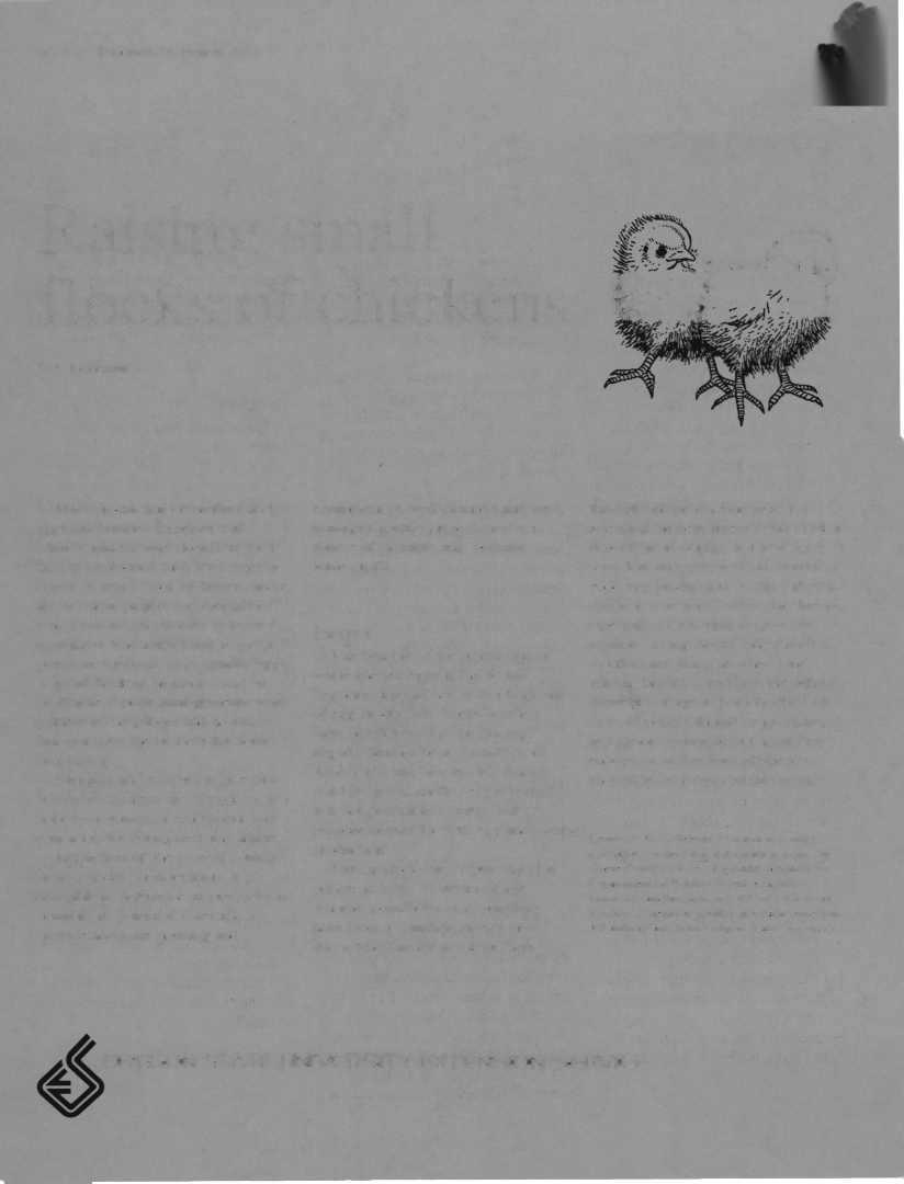 EC 761 Reprinted November 1992 & 750 Raising small flocks of chickens Hilv ^i K.A.