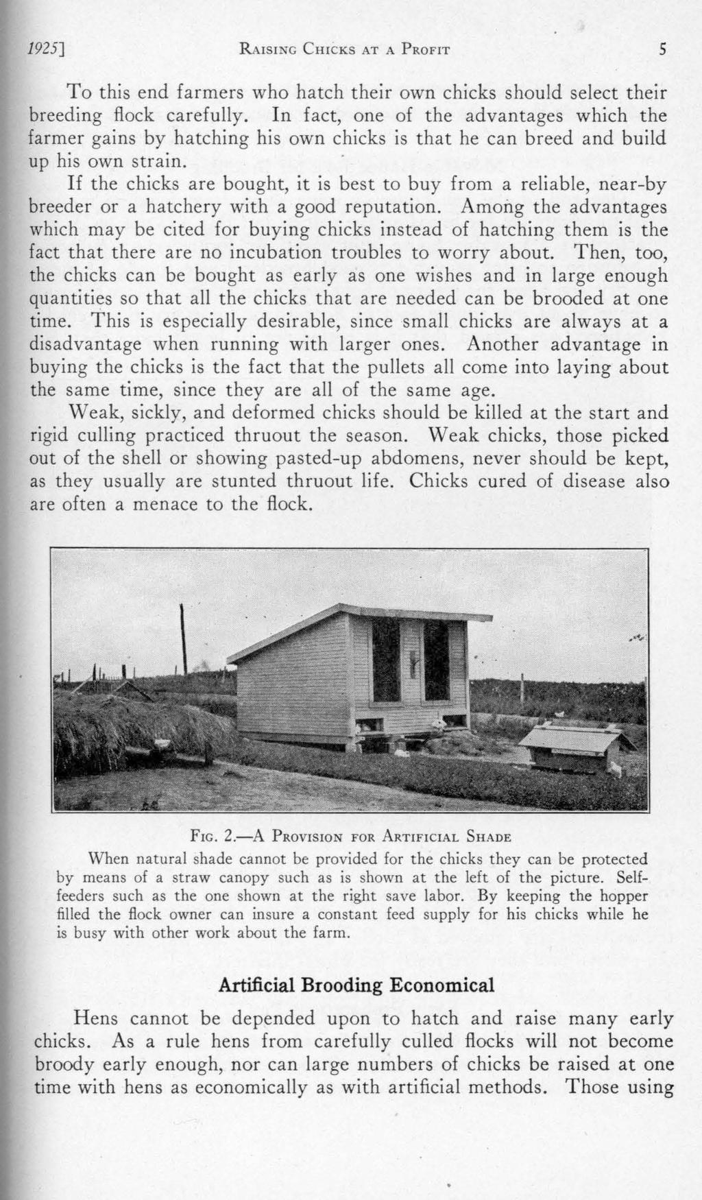 1925] RAISING CHICKS AT A PROFIT 5 To this end farmers who hatch their own chicks should select their breeding flock carefully.