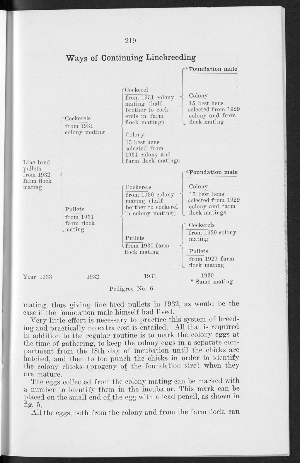 Knox: A simple linebreeding program for poultry breeders 219 Ways of Continuing Linebreeding r*foundation male Line bred pullets from 1932 farm flock mating ^Cockerels from 1931 colony mating from
