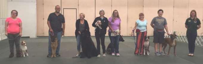 The following were certified in our CGC class on November 4th From left to right: Gryffin (Mini Australian Shepard), Yango