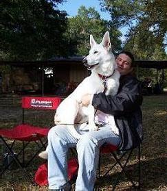 Our next show would be in June, the 2006 UKC Premier. Florida to Michigan was a long trip, but an enjoyable one. Missy won an Award of Merit in the Champion Class and best of all she didn t limp once!
