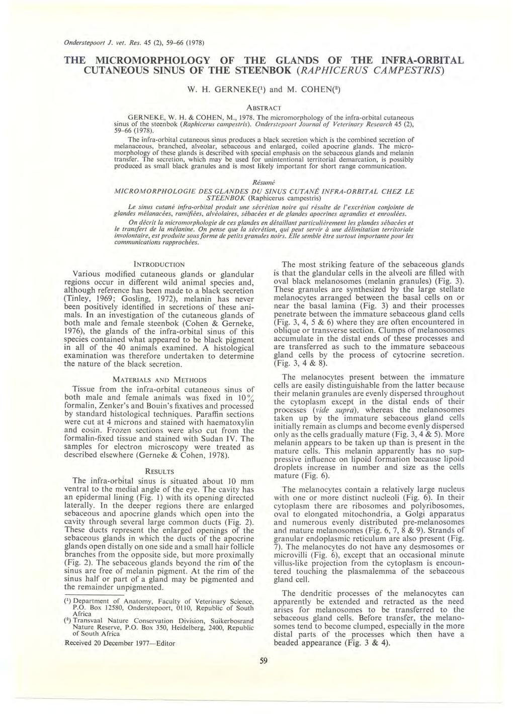 Onderstepoort J. vet. Res. 45 (2), 59-66 (1978) THE MICROMORPHOLOGY OF THE GLANDS OF THE INFRA-ORBITAL CUTANEOUS SINUS OF THE STEENBOK (RAPHICERUS CAMPESTRIS) W. H. GERNEK ( 1 ) and M.