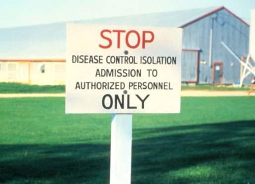 Other things to consider Always practice good biosecurity Three major