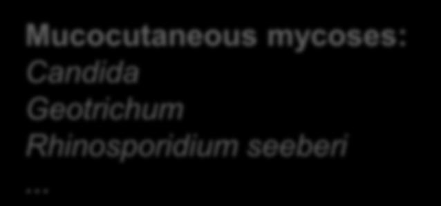 .. Cutaneous mycoses dermatomycoses /
