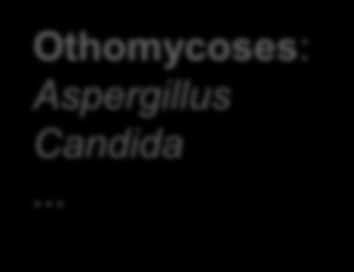 Epidermophyton Candida Aspergillus