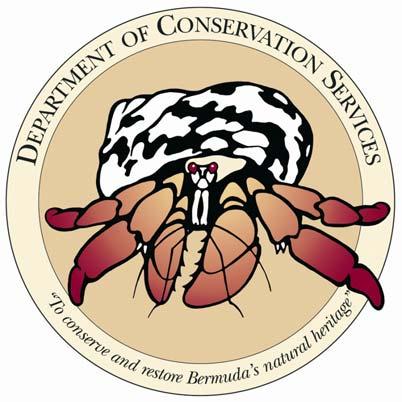 BERMUDA GOVERNMENT Department of Conservation Services Breeding Success and Status of White-tailed Tropicbird (Bermuda Longtail) Phaethon