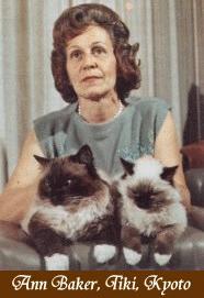 Ann Baker of Riverside, California developed the Ragdoll breed in the early 1960 s.