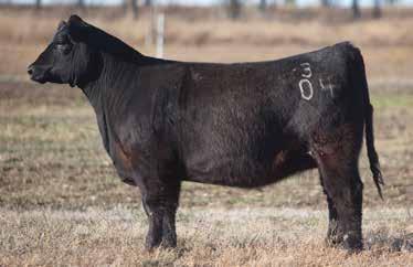 May 30, 2014 UNBELIEVABLE LOT 37 3 721 REIMANN The few heifers that we have out of our Brilliance son are everything we have hoped