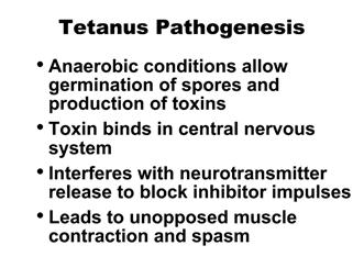 Pathogenesis C. tetani usually enters the body through a wound. In the presence of anaerobic (low oxygen) conditions, the spores germinate.