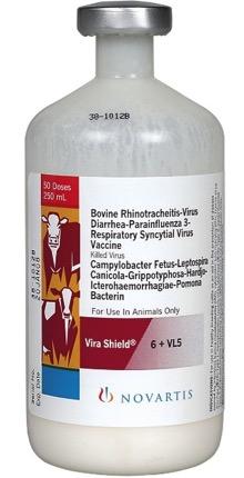 respirtory symptoms, oculr symptoms, vginitis Vccintion for IBR nd BVD reproductive infections Comined with Virio + Lepto 3 dys prior to reeding