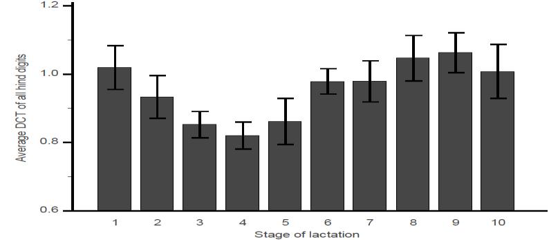 Figure 5: Adjusted mean digital cushion thickness (MDCT) of all four hind digits by stage of lactation.(bicalho et al.