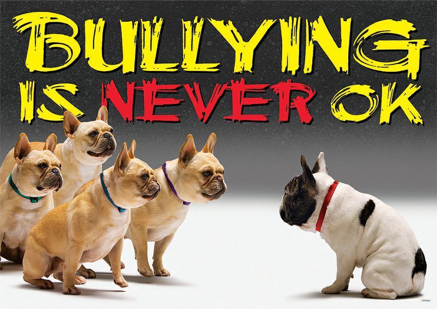 ZERO TOLERANCE Any individual initiating bullying tactics at the Ontario Breeders Association Shows will be asked to leave the show grounds premises immediately and for the remainder of the event (no
