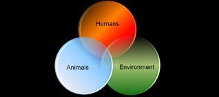 One Health Promotes optimal health for people, animals, and (AVMA, 2014) Requires