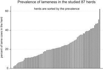 How common is lameness?