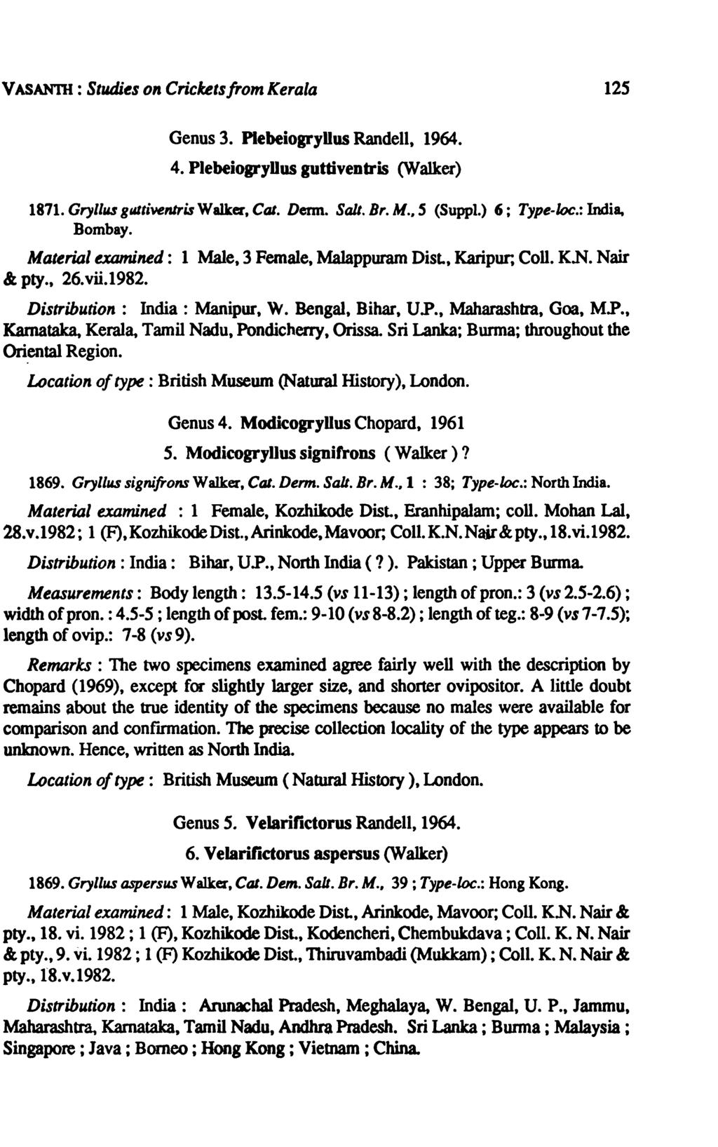 VASANTH : Studi~s on Criclcetsfrom Kerala 125 Genus 3. PlebeiogryUus Randell, 1964. 4. PlebeiogryUus guttiventris (Walker) 1871. Gryllus gllttivenlris Walkez, Cal. Denn. Salt. Br. M., S (Suppl.