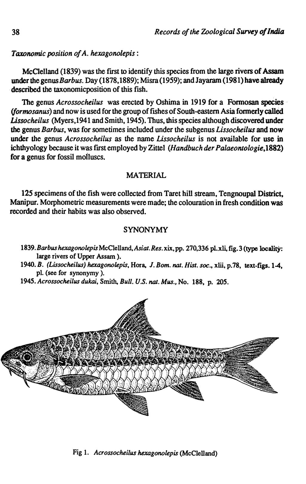 38 Records of the Zoological Survey of India Taxonomic position of A. hexagonolepis : McClelland (1839) was the fast to identify this species from the large rivers of Assam under the genus Barbus.