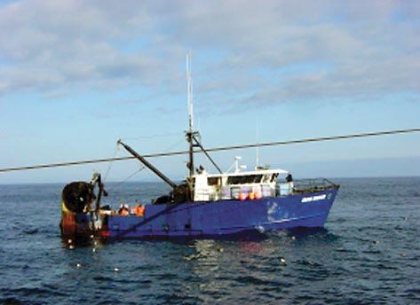 2007 Winner: The Eliminator Fishermen, Net Manufacturer and Fisheries Specialists Collaborate to Win $30,000 Award It may sound like the name of the destructive robot in the next big action movie,