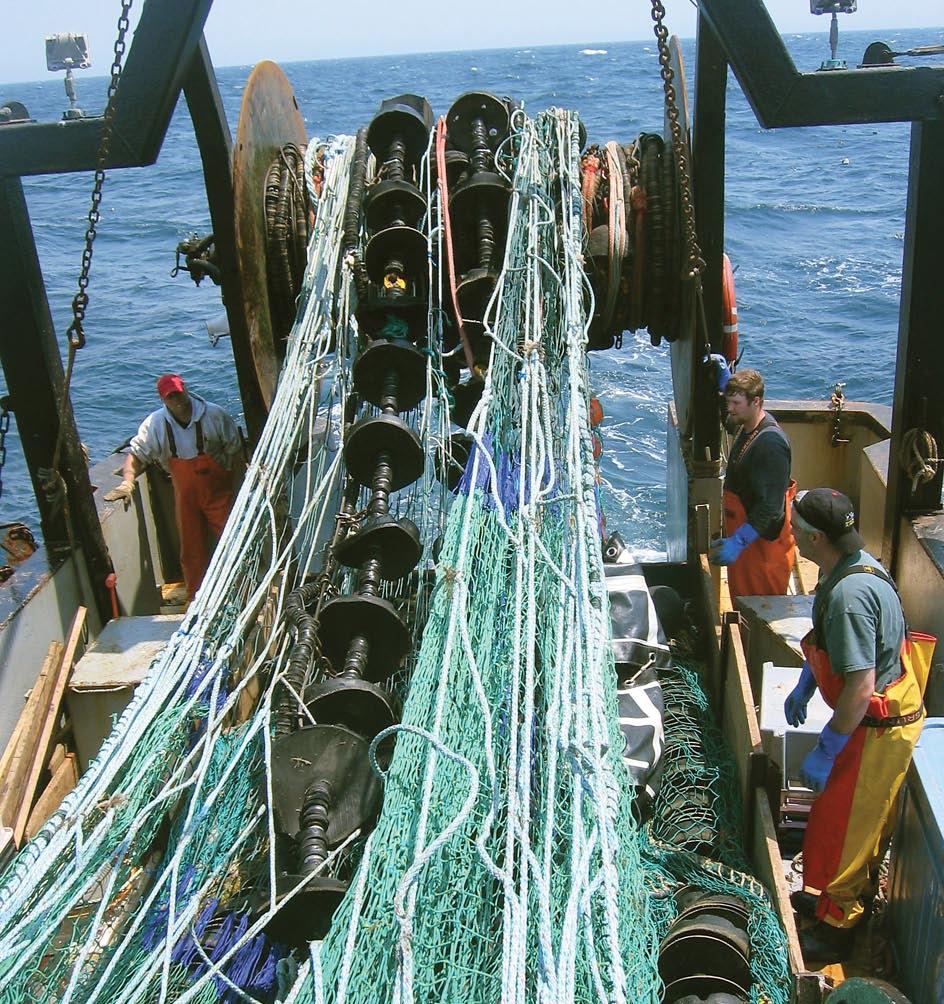 The trawl s early release of nontarget marine life reduces their risk of experiencing damage or mortality.