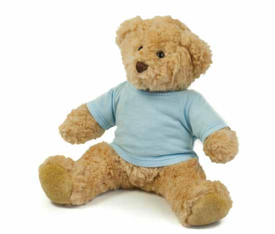 Clothing Collection T-shirt 71 This Teddy Bear t-shirt is the