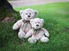 The opportunities for promoting a brand or occasion are endless as the umbles Teddy Bear Collection has a wealth of