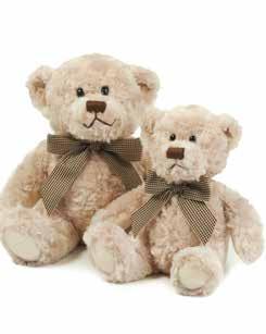 Suitable for all ages Complies with EN71 European Toy Safety Regulations Honey coloured, chubby soft plush bear Matching nose and feet detail Comes dressed in a cream velour