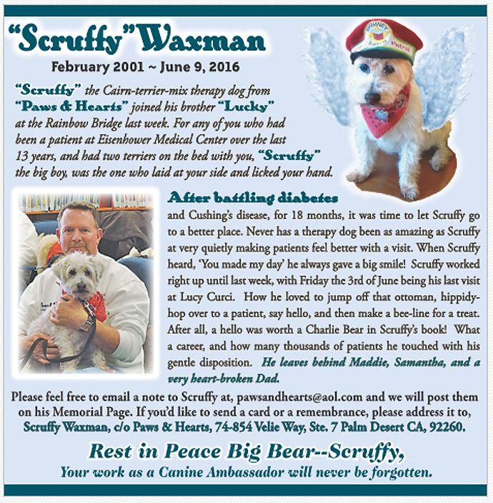 Page 3 Paws & Hearts Newsletter FALL 2016 The Desert Sun ran this amazing obituary for Scruffy Our Mission Statement Paws & Hearts is a leader in the field of Animal Assisted Therapy (AAT) and it is