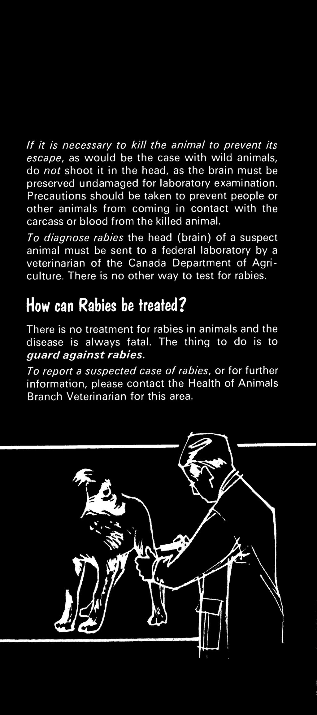 of Agriculture. There is no other way to test for rabies. How m Rabies be treated?