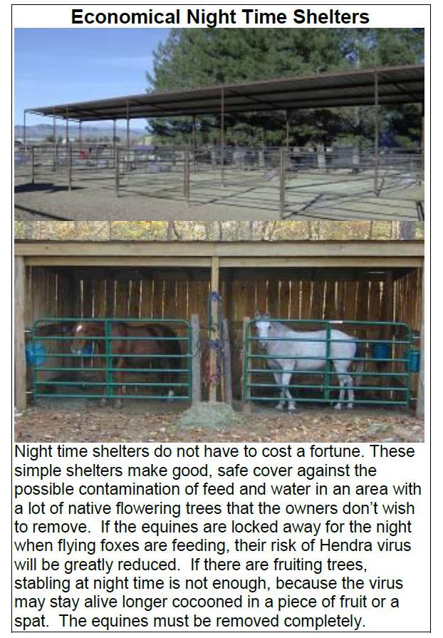 Reduce contact between bats and horses Put horses into stables at