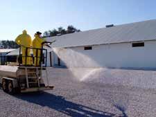 Farm Preparations for Chick Arrival Biosecurity Individual sites should hold birds of a single age and be managed on the principles of "all-in, all-out.
