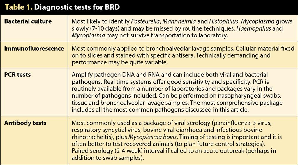 Table 1. Diagnostic tests for BRD.