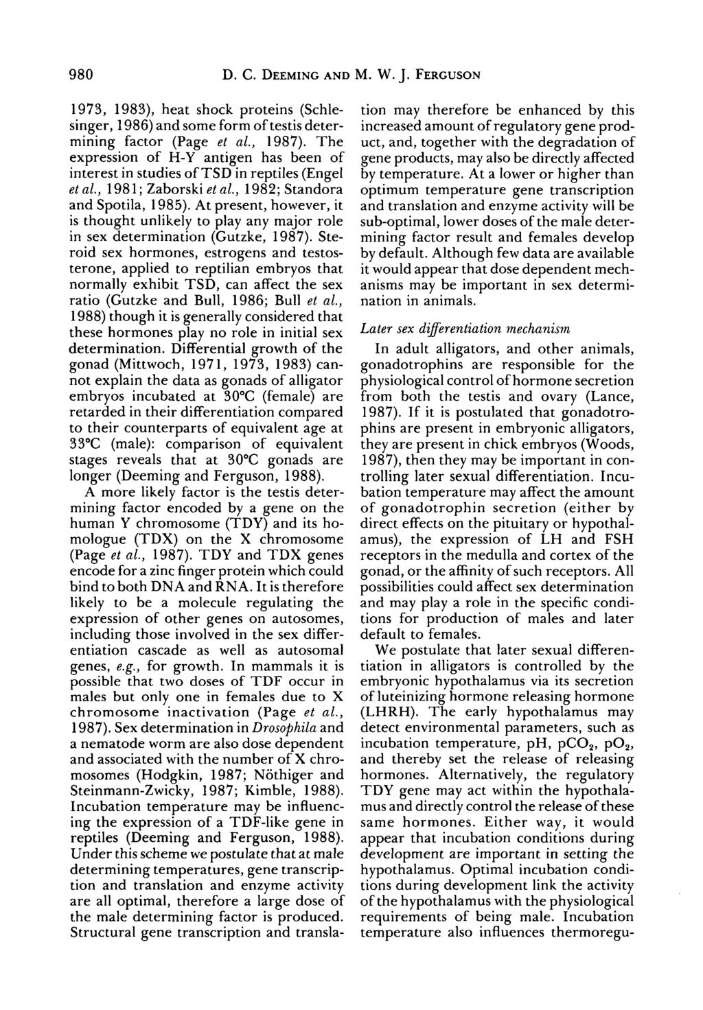 98 D. C. DEEMING AND M. W. J. FERGUSON 1973, 1983), heat shock proteins (Schlesinger, 1986) and some form of testis determining factor (Page et al, 1987).