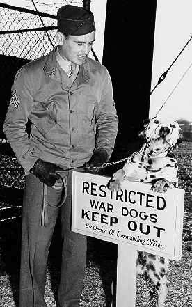 training centers were set up at Beltsville, MD, and Fort Belvoir, VA, to train mine detection dogs. This task was later transferred to San Carlos.
