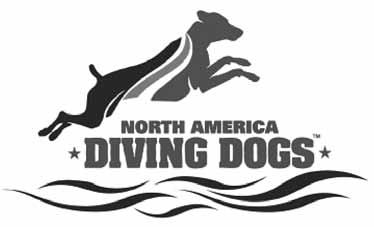 North America Diving Dogs will be holding an All-Breed Dock Diving Event at the AKC 2017 Virginia Memorial Day Cluster Dock diving is a fast-growing sport that is fun for dogs of all breeds and sizes.